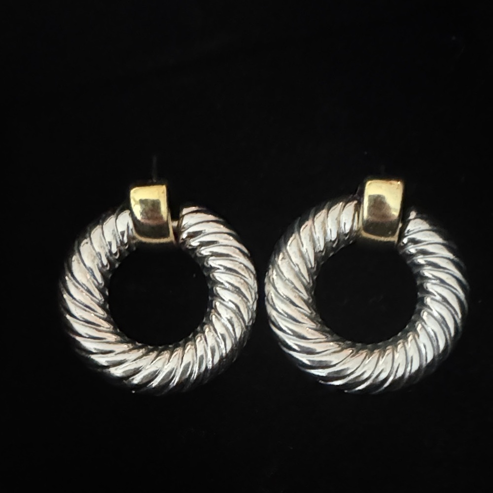 Elegant Silver and Gold Hoop Earrings